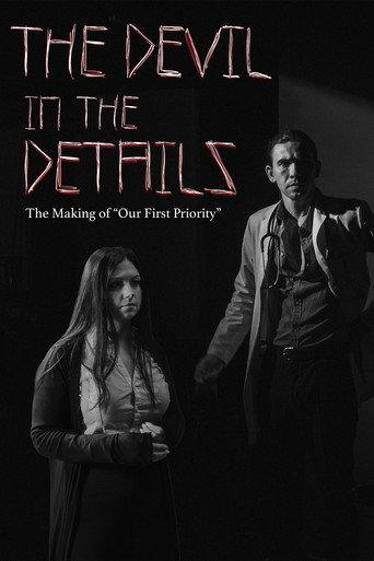 The Devil in the Details () poster
