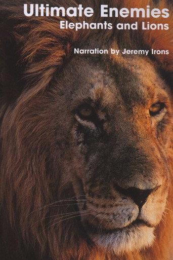 Ultimate Enemies: Elephants and Lions (2003) poster