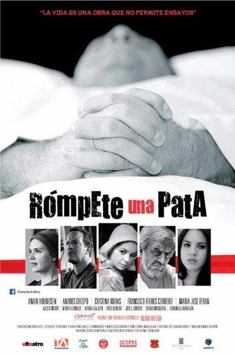Break a leg (2013) poster