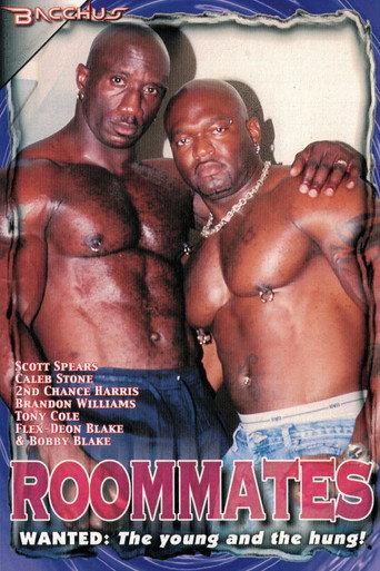 Roommates (2002) poster