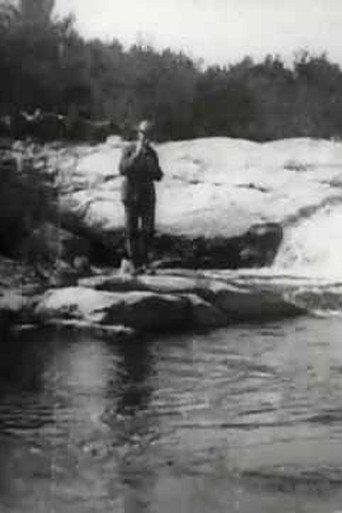 Brook Trout Fishing (1900) poster
