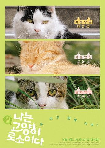 I am a Cat (2017) poster