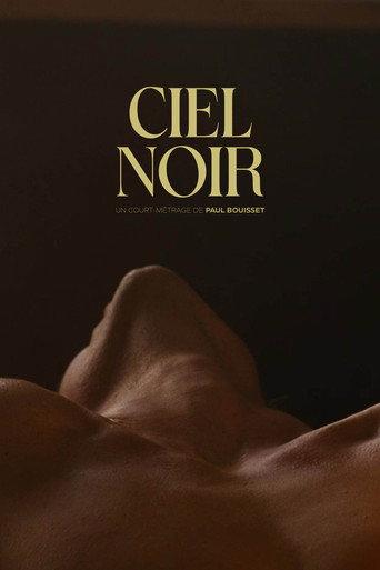 Ciel noir () poster