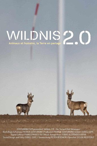 Wildnis 2.0 - Die Tierwelt auf Umwegen (2024) poster