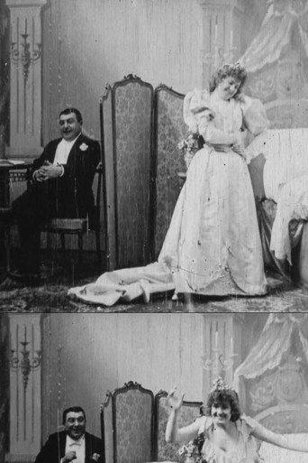 Bedtime for the Bride (1896) poster