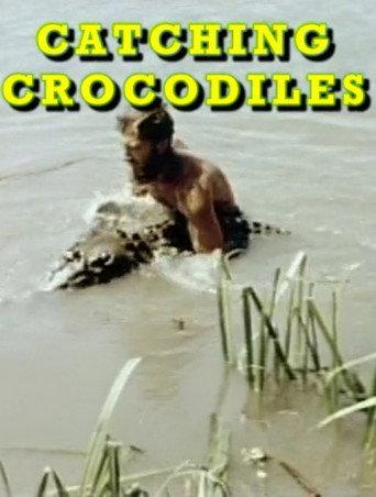 Catching Crocodiles (1985) poster