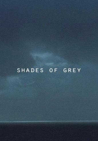 Shades of Grey (2014) poster