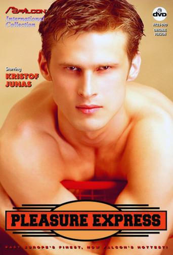 Pleasure Express (1994) poster