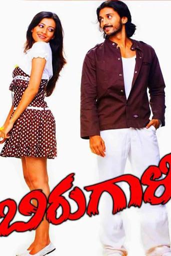 Birugaali (2009) poster