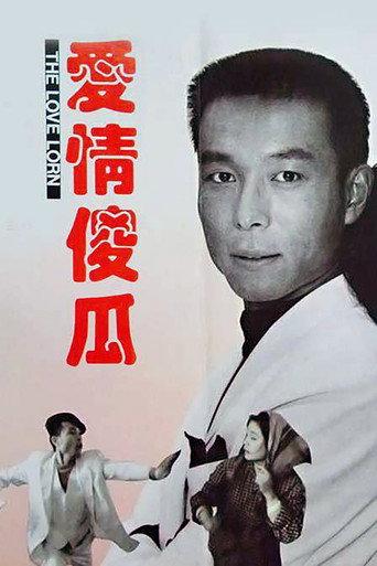 爱情傻瓜 (1993) poster