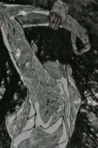 Chiaroscuro (2015) poster