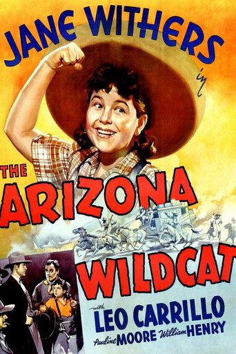 The Arizona Wildcat (1939) poster