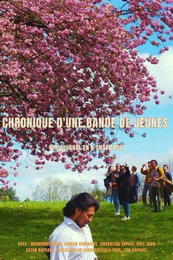 Chronique d'une bande de jeunes (un journal en 6 chapitres) () poster