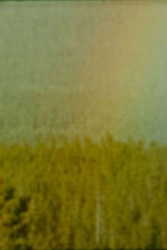 Bird (1978) poster