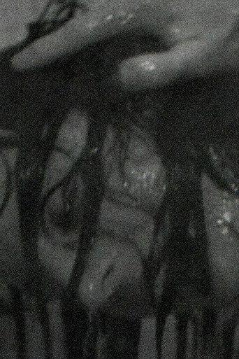 Washing Machine (2007) poster
