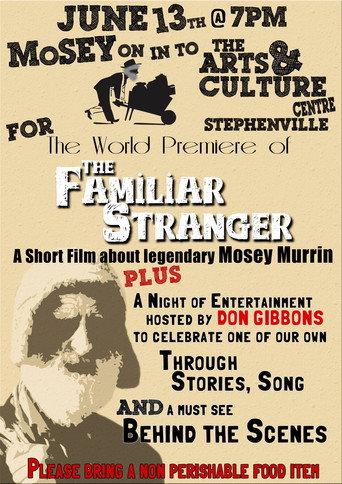 The Familiar Stranger (2014) poster