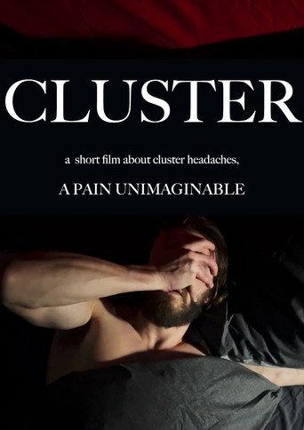 CLUSTER (2024) poster