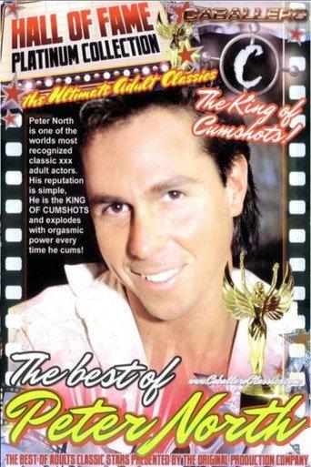 Caballero Hall of Fame: The Best of Peter North (2009) poster