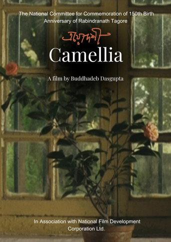 Camellia () poster