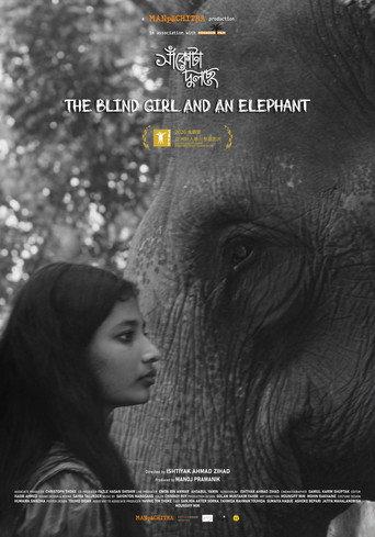 The Blind Girl and an Elephant (2026) poster