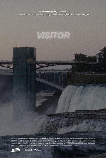 Visitor (2026) poster