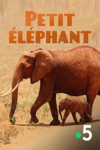 Small Elephant (2015) poster
