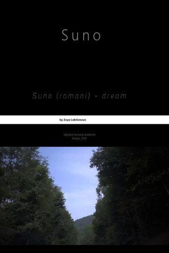 Suno (2022) poster