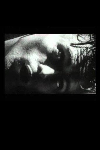 The Hunger Artist (1995) poster