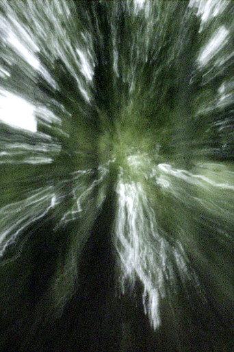 VERTIGO RUSH (2007) poster