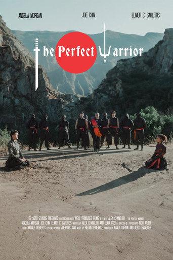 The Perfect Warrior () poster