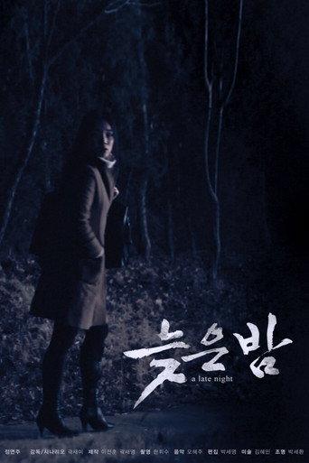 A Late Night (2012) poster