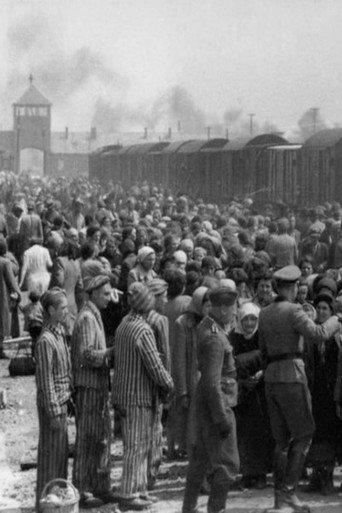 Dr Münch - läkare i Auschwitz (1982) poster