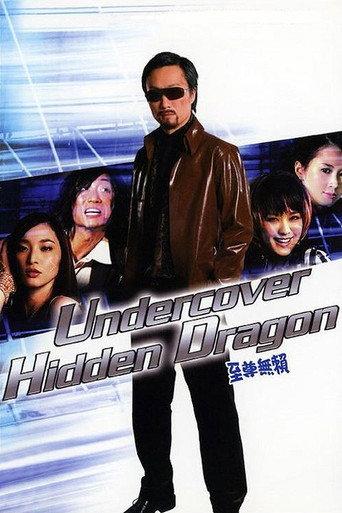 Undercover Hidden Dragon (2006) poster