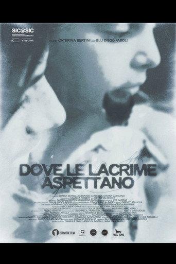 Where The Tears Await (2026) poster