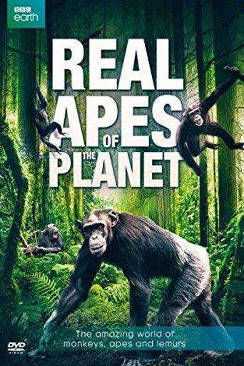 The Real Apes of the Planet (2014) poster