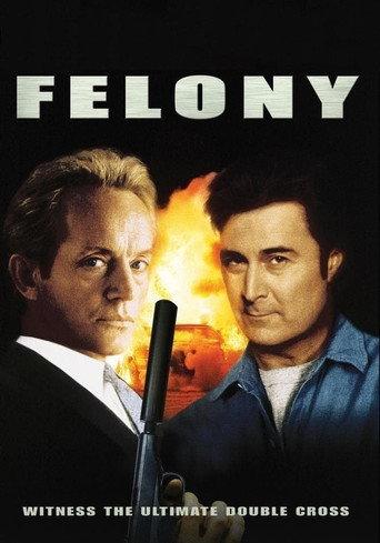 Felony (1996) poster