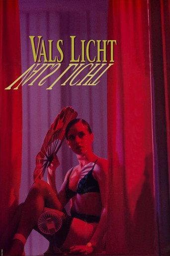 False Light (1993) poster