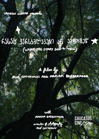 What the Stars Don’t Tell (2025) poster