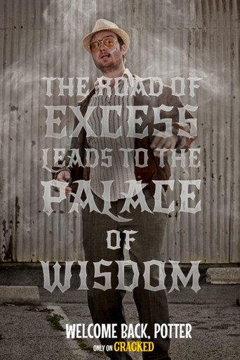 Welcome Back, Potter (2014) poster