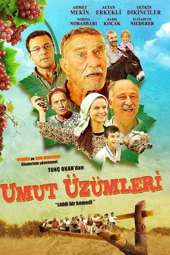 Umut Üzümleri (2013) poster
