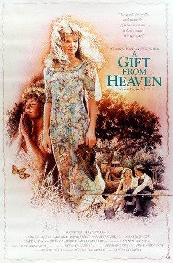 A Gift from Heaven (1994) poster