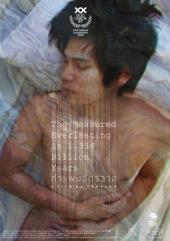 THE MEASURED EVERLASTING IS 1.334 BILLION YEARS (2026) poster