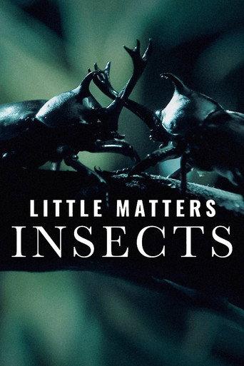 Little Matters: Insects (2015) poster