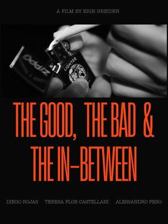 The Good, the Bad and the In-Between () poster