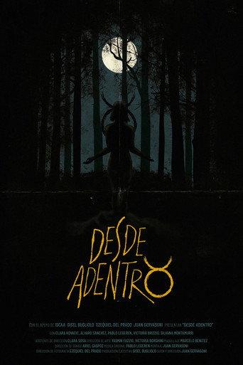 Desde Adentro (2017) poster