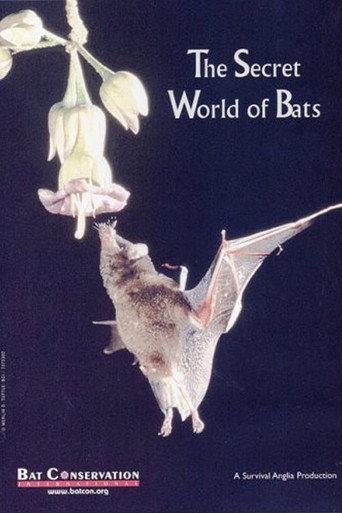 The Secret World Of Bats (1992) poster