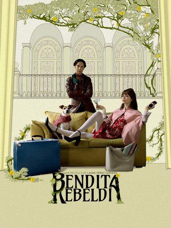 Accidental Blessings (2020) poster