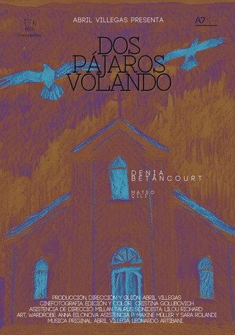 Dos pájaros volando () poster