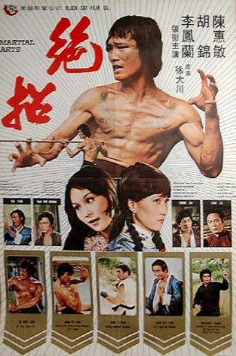 Martial Arts (1974) poster