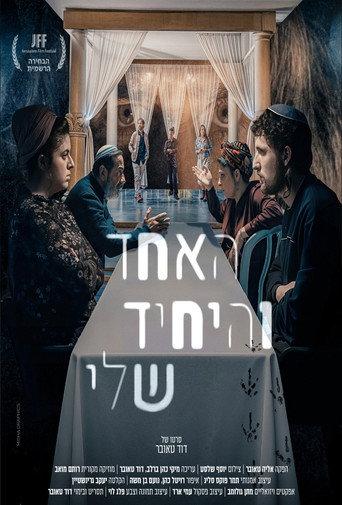 My One and Only (2025) poster